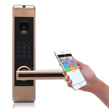 Khóa vân tay Keylock 313A